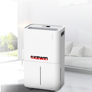 Máy hút ẩm dân dụng Kewin KW313